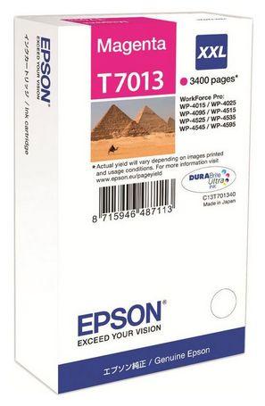 Epson C13T70134010