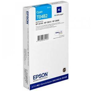 Epson C13T04B240