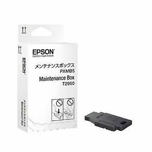 Epson C13T295000