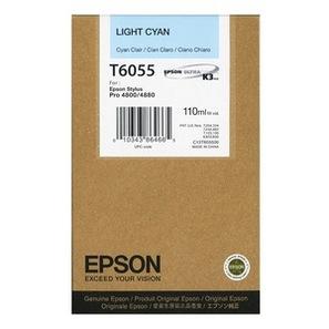 Epson C13T605500