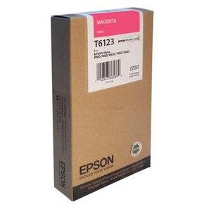 Epson C13T612300