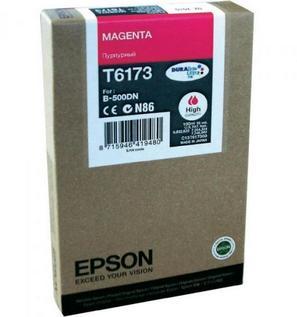 Epson C13T617300
