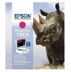 Epson C13T10034010