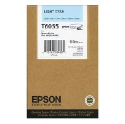 Epson C13T605500