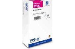 Epson C13T754340